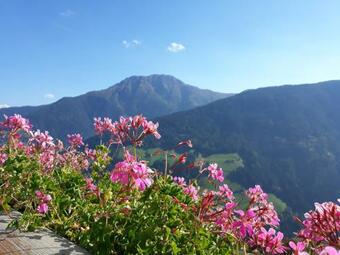 Apartamento Ferienwohnungen Zeppenhof