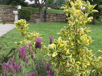 Apartamento Suite Riva