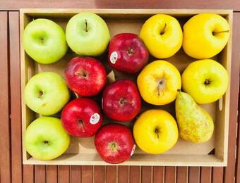 La Casa Di Rinaldo B&B