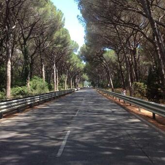 Apartamento Relax E Belvedere In Scarlino (superior)