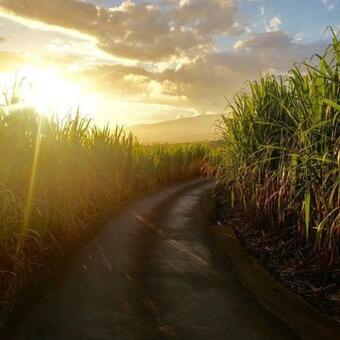 Apartamento Les Chalets Du Domaine De Nayjee