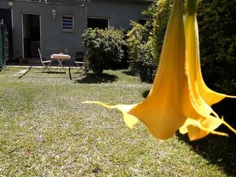 Apartamento Cascade Et Paille-en-queue - Studio