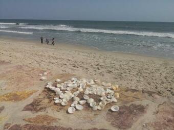 Seasidez Private Beach House