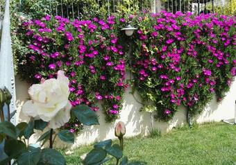 Apartamento All'aia Bianca 1868