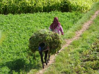 Hostal Dar Ait Bouguemez