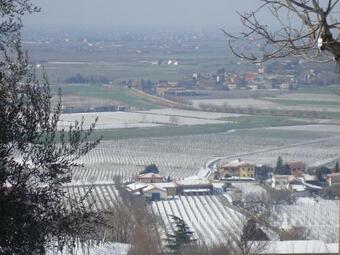 Agroturismo Il Castagneto