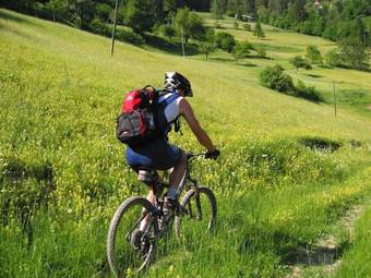 Hotel Center Pokljuka