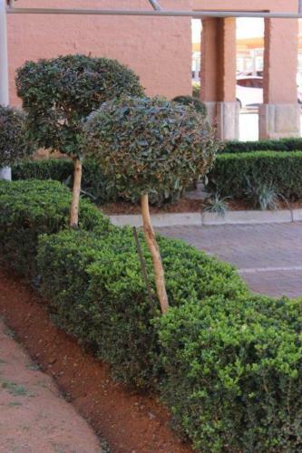 Apartamento Reliwave Pty Ltd