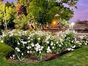 Agroturismo Dellville Country House & Cottages