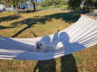 Casa Vacanza Il Giardino Del Sole Treglio