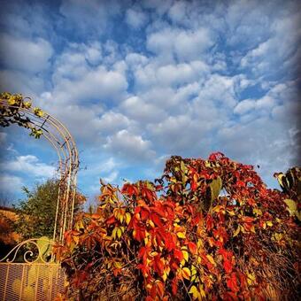 Graziosa Mansarda