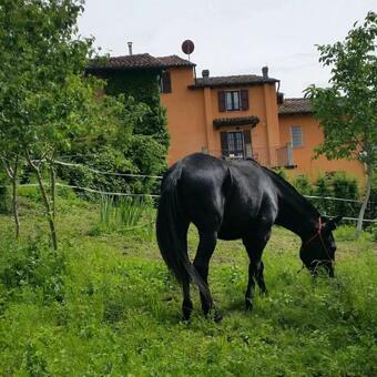 Bed And Breakfast Balli Coi Lupi