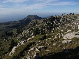 Bed & Breakfast Tana Libera Tutti 1 Nature, Yourself, Love