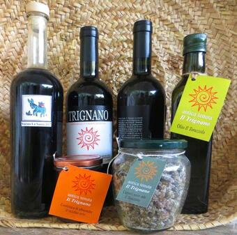 Villa Ancient Estate "il Trignano"