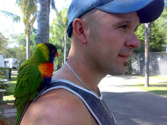 Shady Willows Holiday Park & Batemans Bay Yha