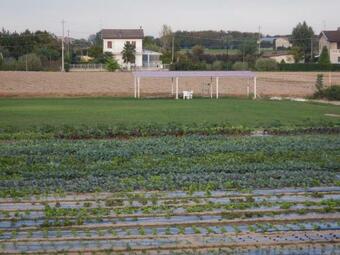 Hotel Ca' Vascon Alloggio Agrituristico