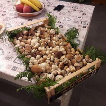 Apartamento Cat Marvei