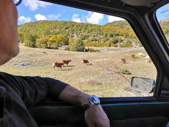 Apartamento La Casetta Di Anna