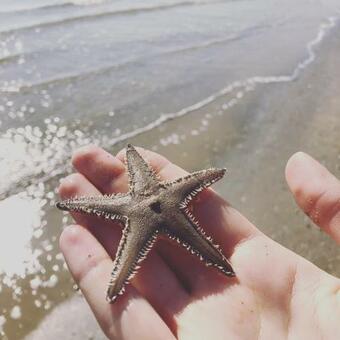 Apartamento La Stanza Di Caterina