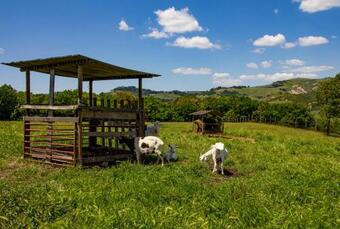 Agroturismo Agriturismo Podere Barbaiano