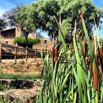 Apartamentos Rurales La Macera, Rocamador Y Valbon