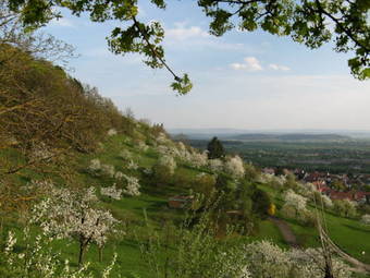 Hotel & Restaurant Kaiser