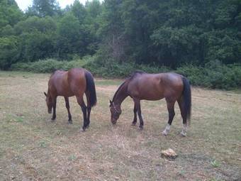Apartamento El Molino Del Corcho