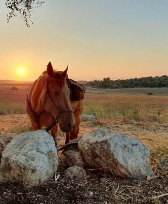 Bed & Breakfast ???? ???? ?????? ?? ?'???? ????