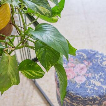 Apartamento ??? ??? ?????? ????- Sara's Place