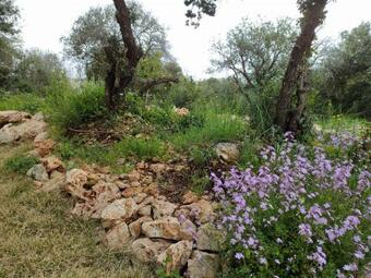 Apartamento Abirim Green House - ???? ????? ???????