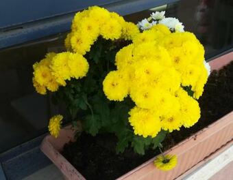 Apartamento The Comfort Place ???? ?????