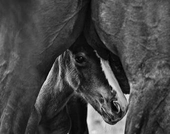 Bed & Breakfast Agriturismo Croara Vecchia