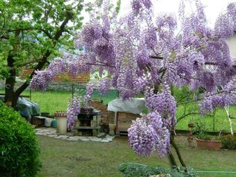 Casa Vacanza Ski Bike Mortirolo Dolce Letizia