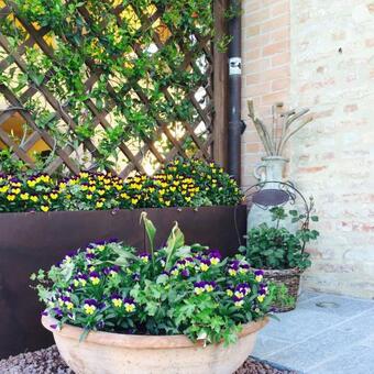 Bed & Breakfast Cascina Cortine