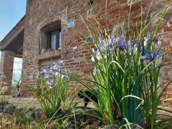 Come In Agriturismo - Montepulciano - Vacation In Tuscany