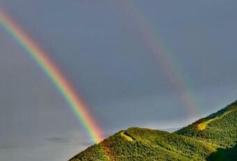 Apartamento Magnolia Locazione Turistica