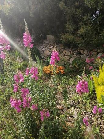 Apartamento Da Mario & Marianna