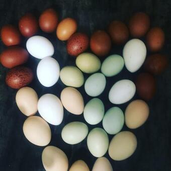 Hostal Come UNA Volta