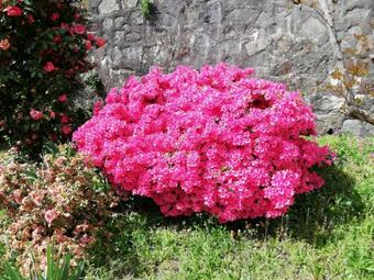 Bed & Breakfast Fattoria Del Pino