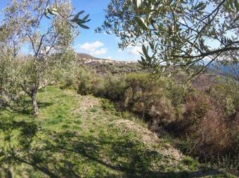 Apartamento Agriturismo In Ca' De Maria Di Conti