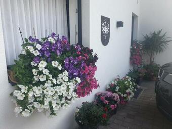 Apartamento Appartementhaus H�ttenberger