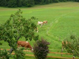 Agroturismo Schmiedbauernhof