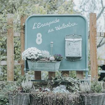 Bed & Breakfast Suite Romance