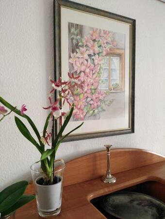 Apartamento S�deifel Badem