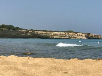 B&B And Apartments Le Torrette