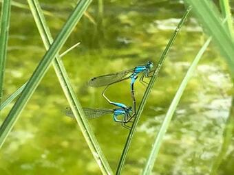 Apartamento Schmeling Haus Bad Saarow