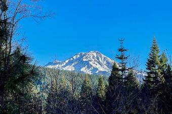 Mccloud Cabin With 3 5 Miles Of Private Hiking