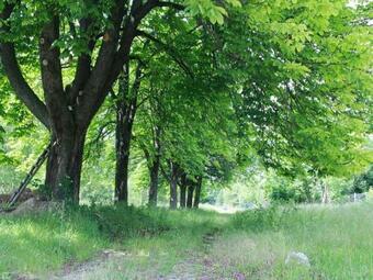 Apartamento Bett Im Bahnhof Ferienwohnung Kastanienbl�te