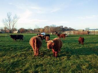 Apartamento Ferienhof Siemer