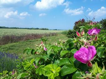 Apartamento Anne Marie